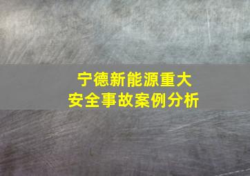 宁德新能源重大安全事故案例分析