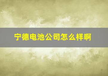 宁德电池公司怎么样啊