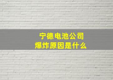 宁德电池公司爆炸原因是什么