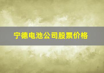 宁德电池公司股票价格