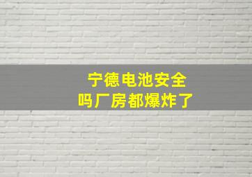 宁德电池安全吗厂房都爆炸了