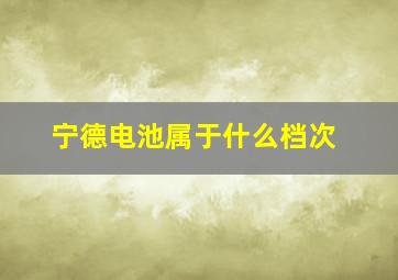 宁德电池属于什么档次