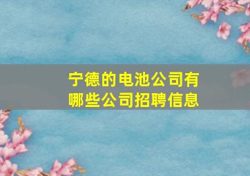 宁德的电池公司有哪些公司招聘信息