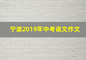 宁波2019年中考语文作文