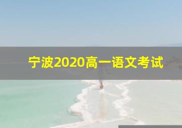 宁波2020高一语文考试