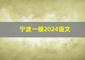 宁波一模2024语文