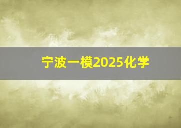 宁波一模2025化学