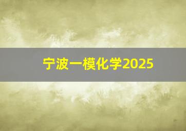 宁波一模化学2025