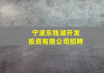 宁波东钱湖开发投资有限公司招聘