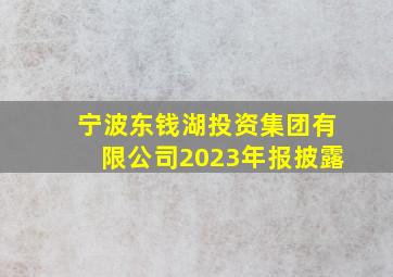 宁波东钱湖投资集团有限公司2023年报披露