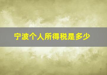 宁波个人所得税是多少