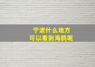 宁波什么地方可以看到海鸥呢