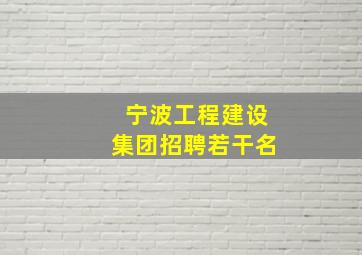 宁波工程建设集团招聘若干名