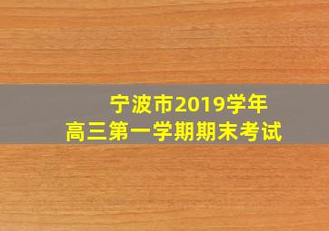 宁波市2019学年高三第一学期期末考试