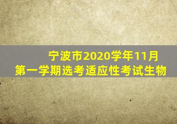 宁波市2020学年11月第一学期选考适应性考试生物