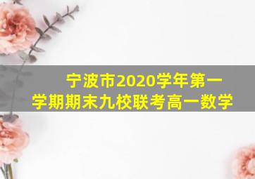 宁波市2020学年第一学期期末九校联考高一数学