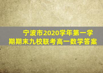 宁波市2020学年第一学期期末九校联考高一数学答案