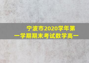 宁波市2020学年第一学期期末考试数学高一