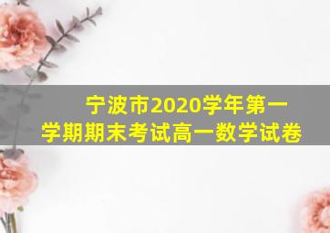 宁波市2020学年第一学期期末考试高一数学试卷