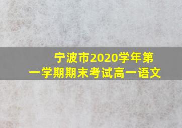 宁波市2020学年第一学期期末考试高一语文