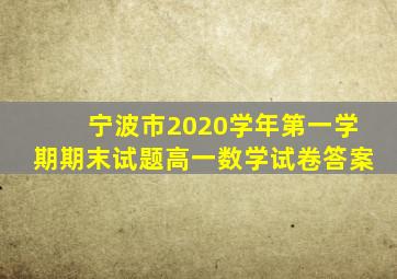 宁波市2020学年第一学期期末试题高一数学试卷答案