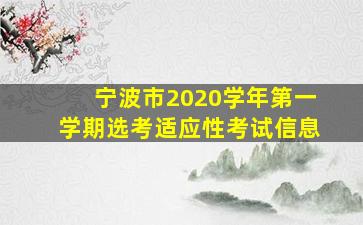 宁波市2020学年第一学期选考适应性考试信息