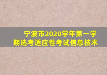 宁波市2020学年第一学期选考适应性考试信息技术