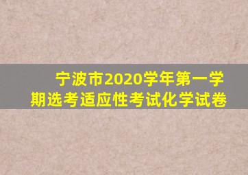 宁波市2020学年第一学期选考适应性考试化学试卷