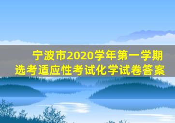 宁波市2020学年第一学期选考适应性考试化学试卷答案