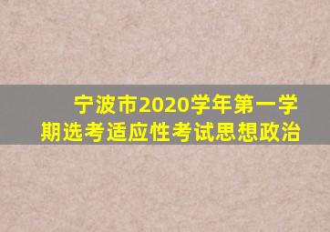 宁波市2020学年第一学期选考适应性考试思想政治