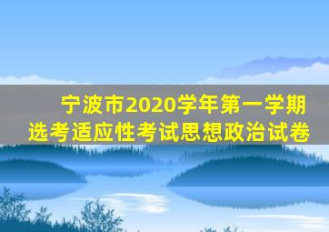 宁波市2020学年第一学期选考适应性考试思想政治试卷