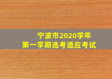 宁波市2020学年第一学期选考适应考试