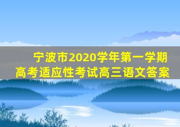 宁波市2020学年第一学期高考适应性考试高三语文答案