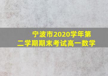 宁波市2020学年第二学期期末考试高一数学