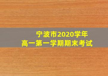 宁波市2020学年高一第一学期期末考试