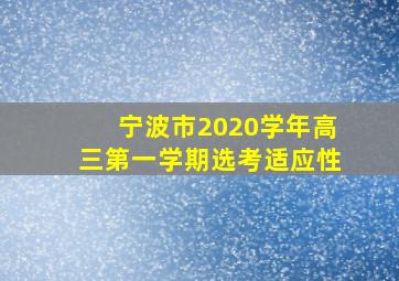 宁波市2020学年高三第一学期选考适应性