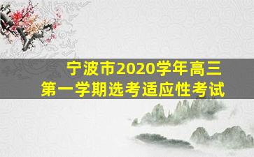 宁波市2020学年高三第一学期选考适应性考试