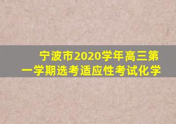 宁波市2020学年高三第一学期选考适应性考试化学