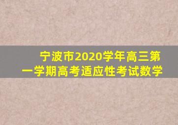 宁波市2020学年高三第一学期高考适应性考试数学