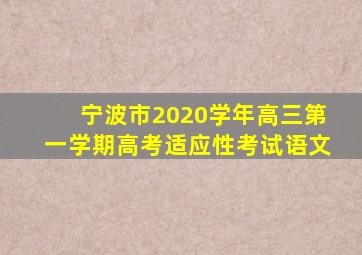 宁波市2020学年高三第一学期高考适应性考试语文