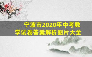 宁波市2020年中考数学试卷答案解析图片大全