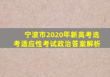 宁波市2020年新高考选考适应性考试政治答案解析