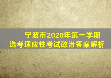 宁波市2020年第一学期选考适应性考试政治答案解析