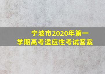 宁波市2020年第一学期高考适应性考试答案