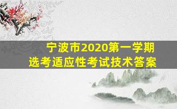 宁波市2020第一学期选考适应性考试技术答案