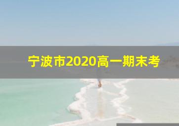 宁波市2020高一期末考