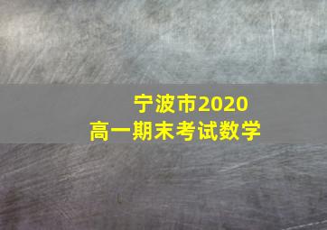 宁波市2020高一期末考试数学