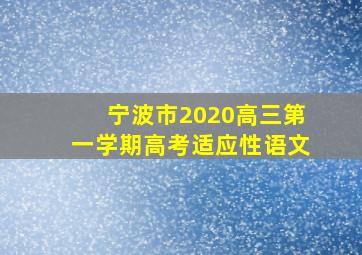 宁波市2020高三第一学期高考适应性语文