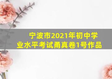 宁波市2021年初中学业水平考试甬真卷1号作品