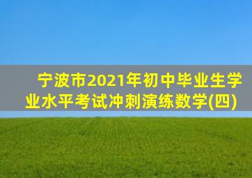 宁波市2021年初中毕业生学业水平考试冲刺演练数学(四)